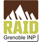 Logo Raid